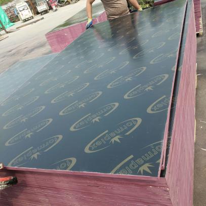 WBP glue concrete shuttering plywood