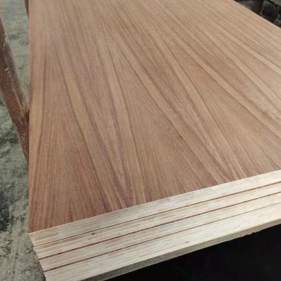 PAROTA veneer faced PLYWOOD